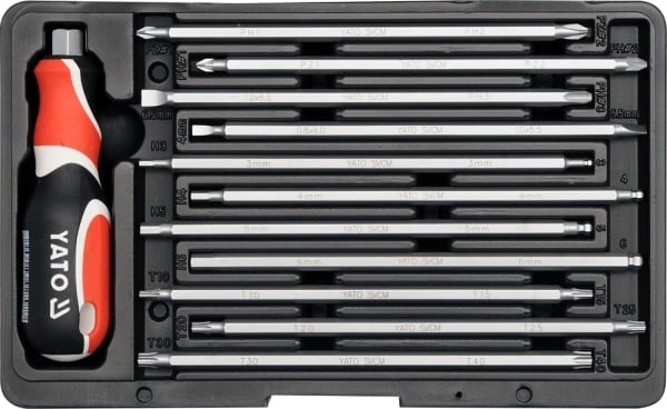 Screwdriver with replaceable tips  set of