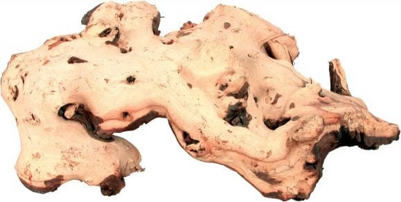 Zolux Large mopani root 1105715 3336023560168