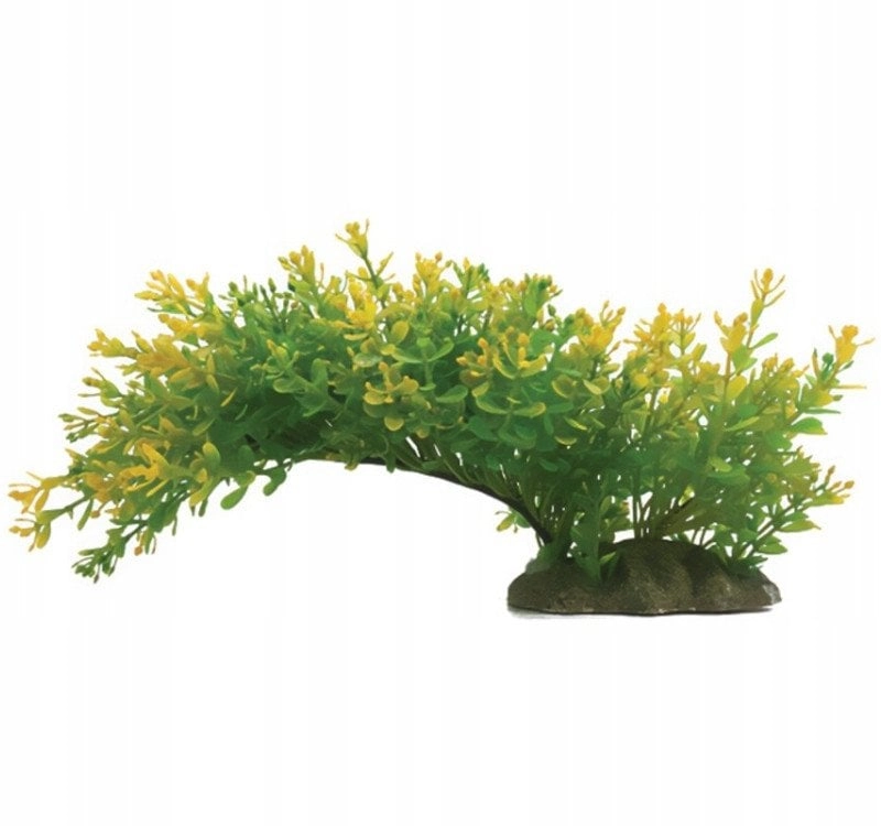 Aqua Natura  plant  for aquarium decoration