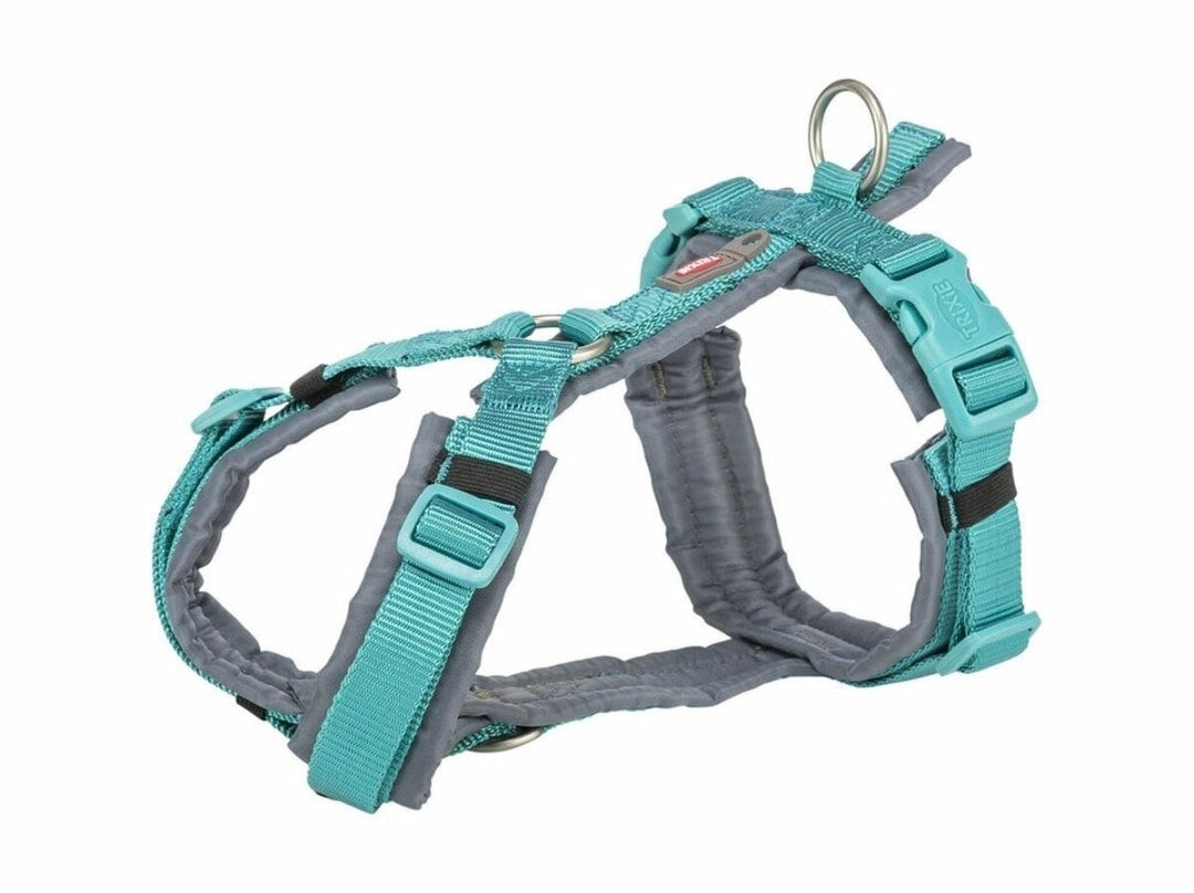 Premium trekking harness  dog  aqua/graphite  XL: