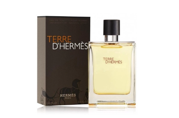 Hermes Terre D````Hermes Perfume EDT 100