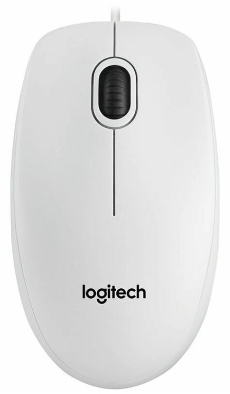 B100 White