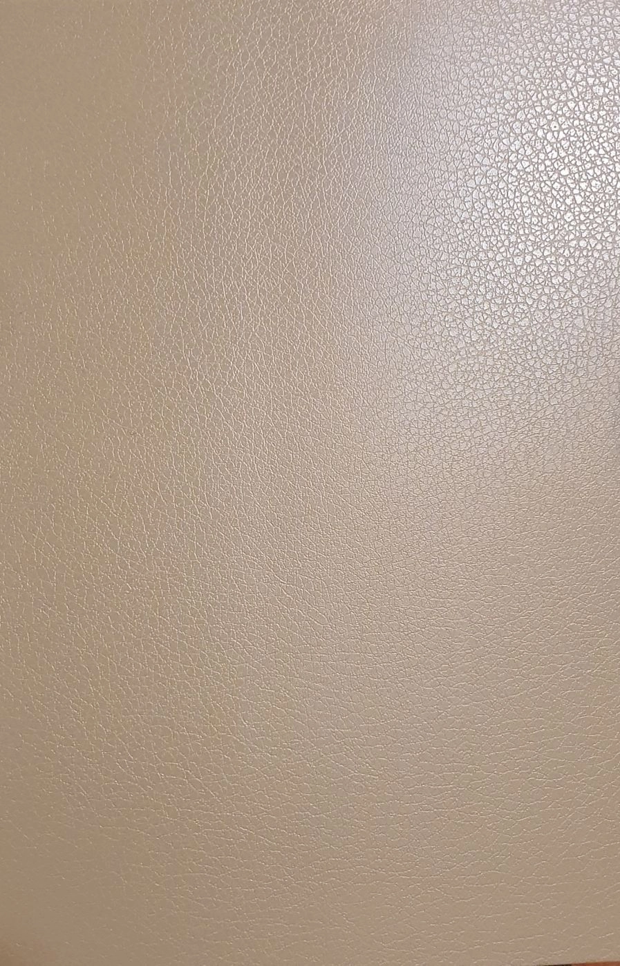 Aizsargplēve Evelatus Universal Leather Film for