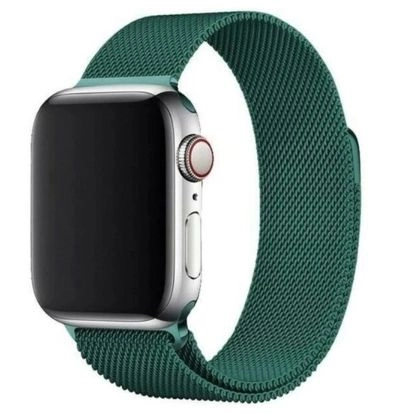 Siksniņa iLike Apple Magnetic Strap Watch