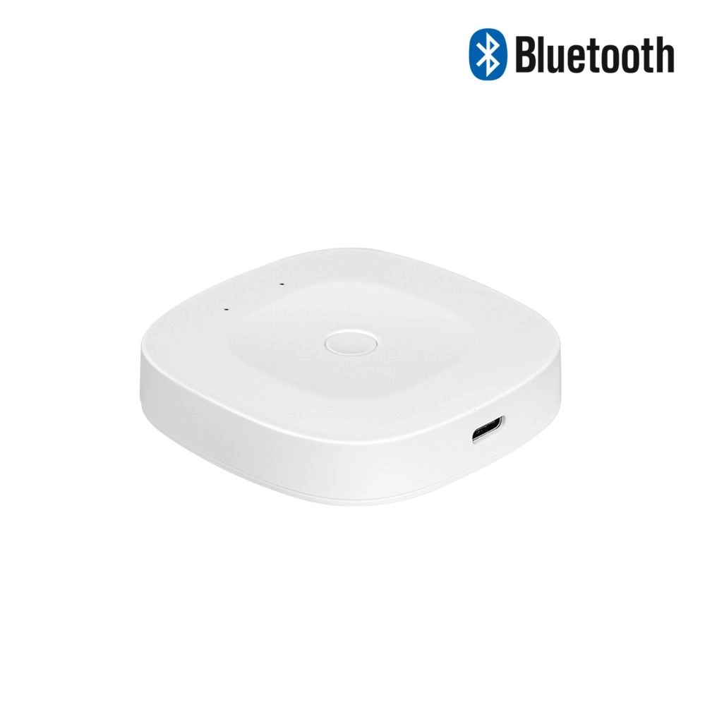 Viedais mājas Bluetooth - Wi-Fi tilts