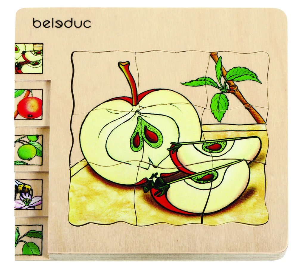 Beleduc educational tool - layered wooden