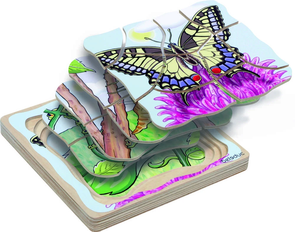 Beleduc educational tool - layered wooden