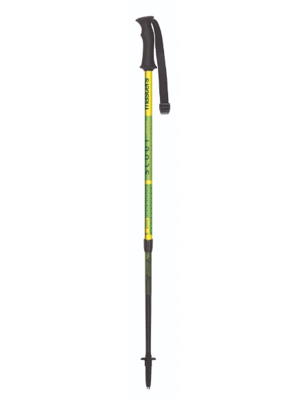 Children`s walking sticks Masters Scout June