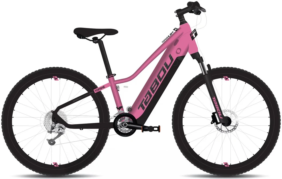 Electric bike Tabou Topshe UP 24