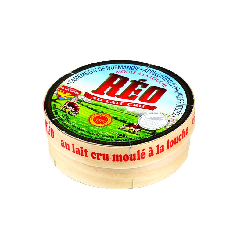 Pelėsinis sūris REO CAMEMBERT  SKVN  250