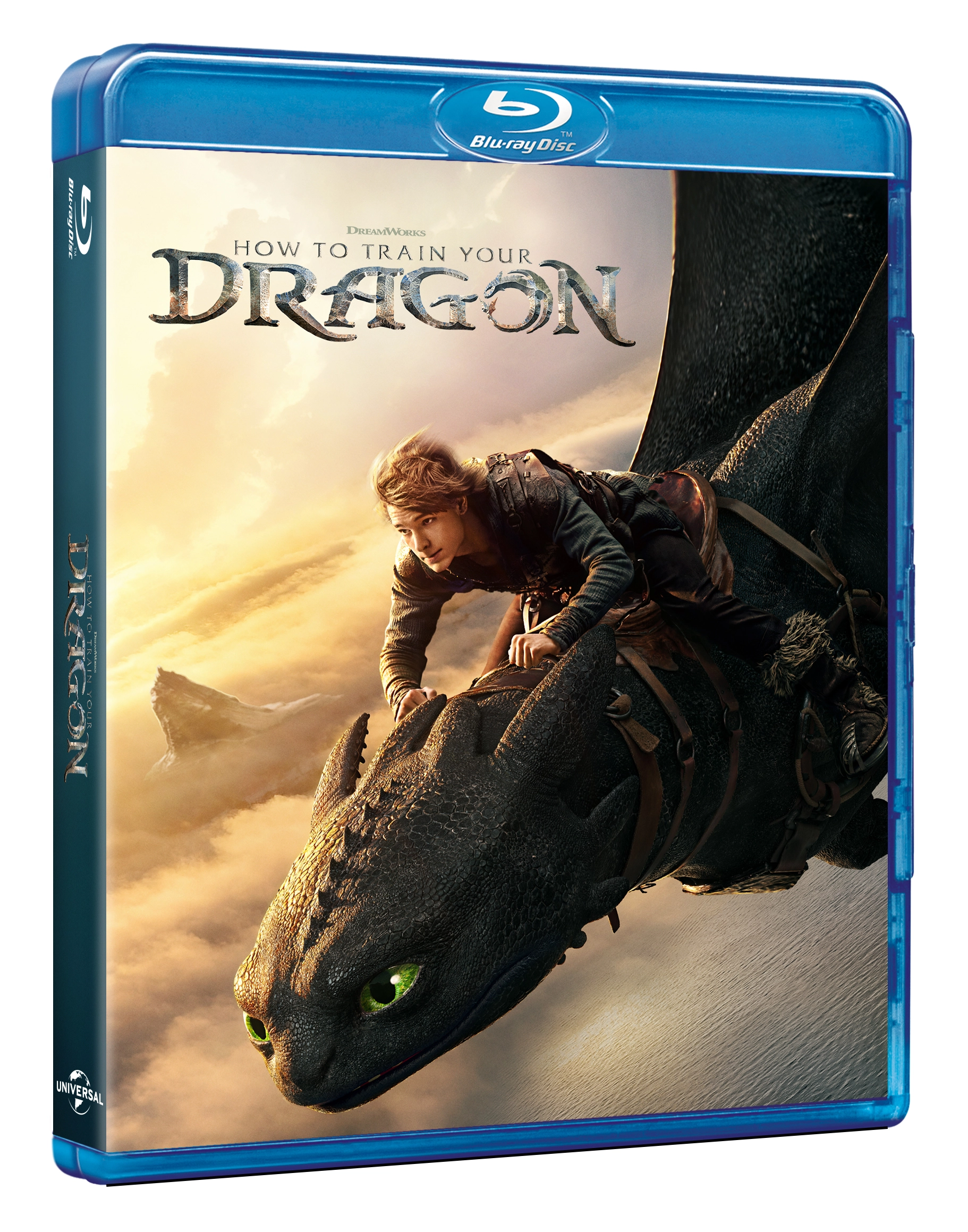 How to Train Your Dragon 1303795