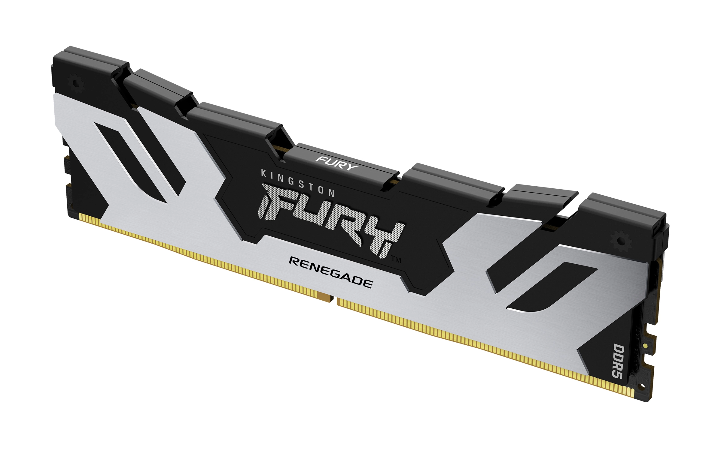 Fury Renegade Silver/Black 48GB DDR5 6400MHZ DIMM KF564C32RS-48