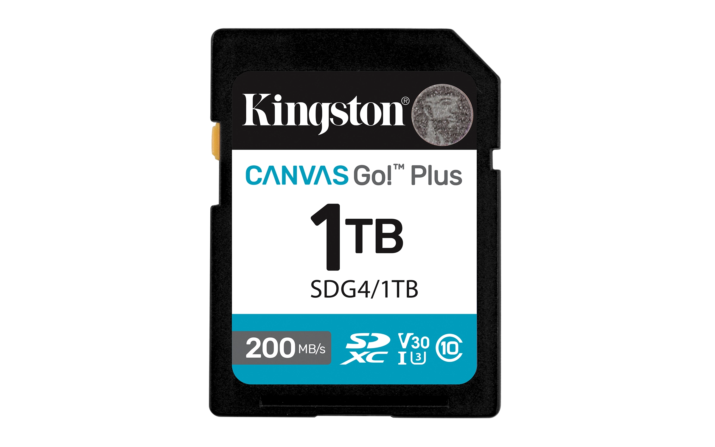 Kingston Technology Canvas Go! Plus 1TB