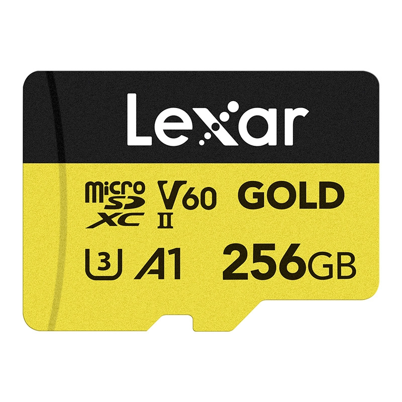 Micro SDXC 256GB Class 10 LMSGOLD256G-BNNNG