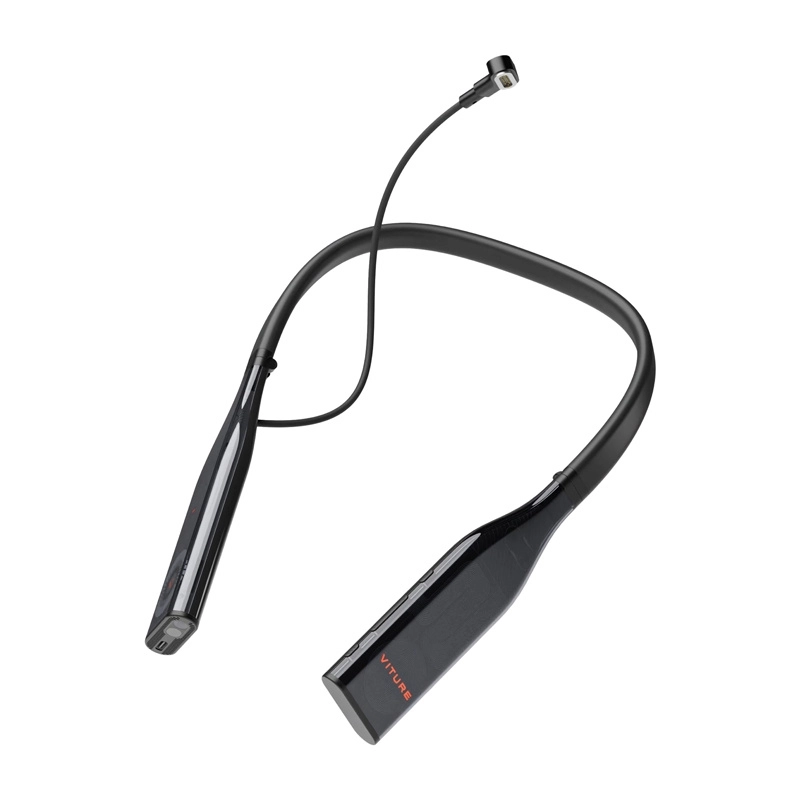 Pro 256GB Neckband