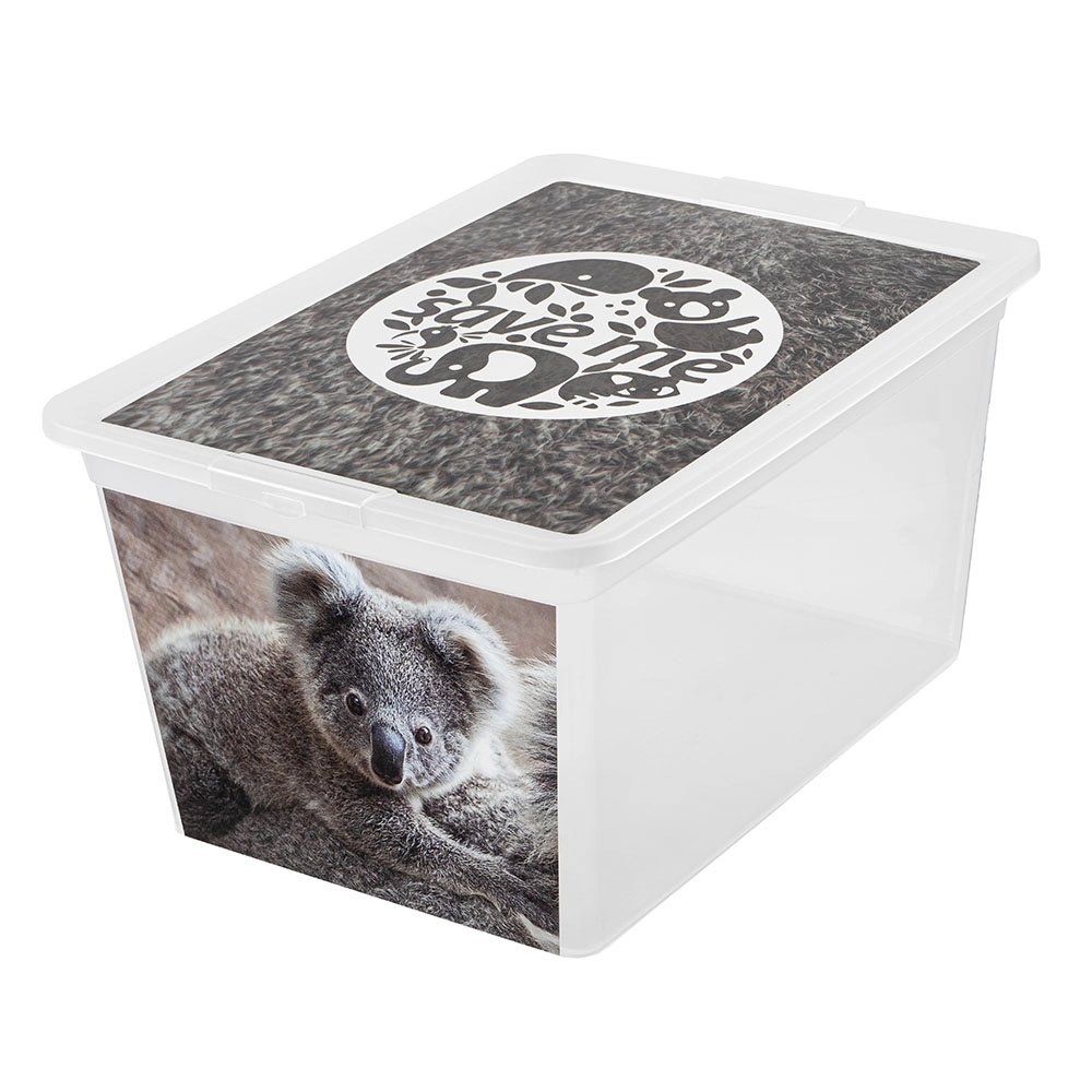 Uzglabāšanas kaste 30L X box deco
