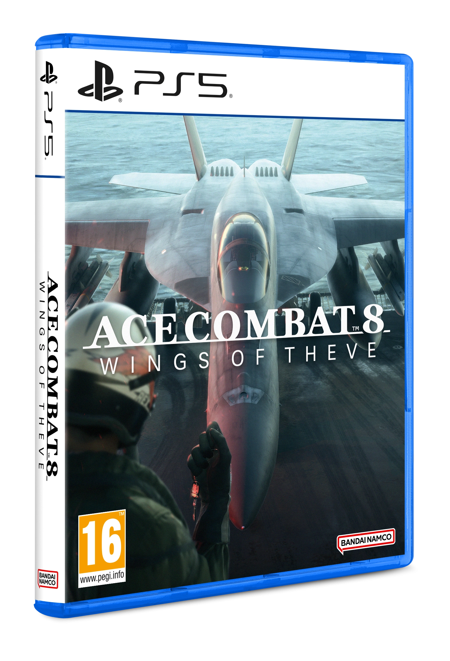 Ace Combat 8: Wings of Theve