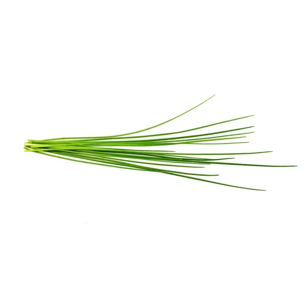 EMSA Click  Grow Chives SGR38X3 4742793007540