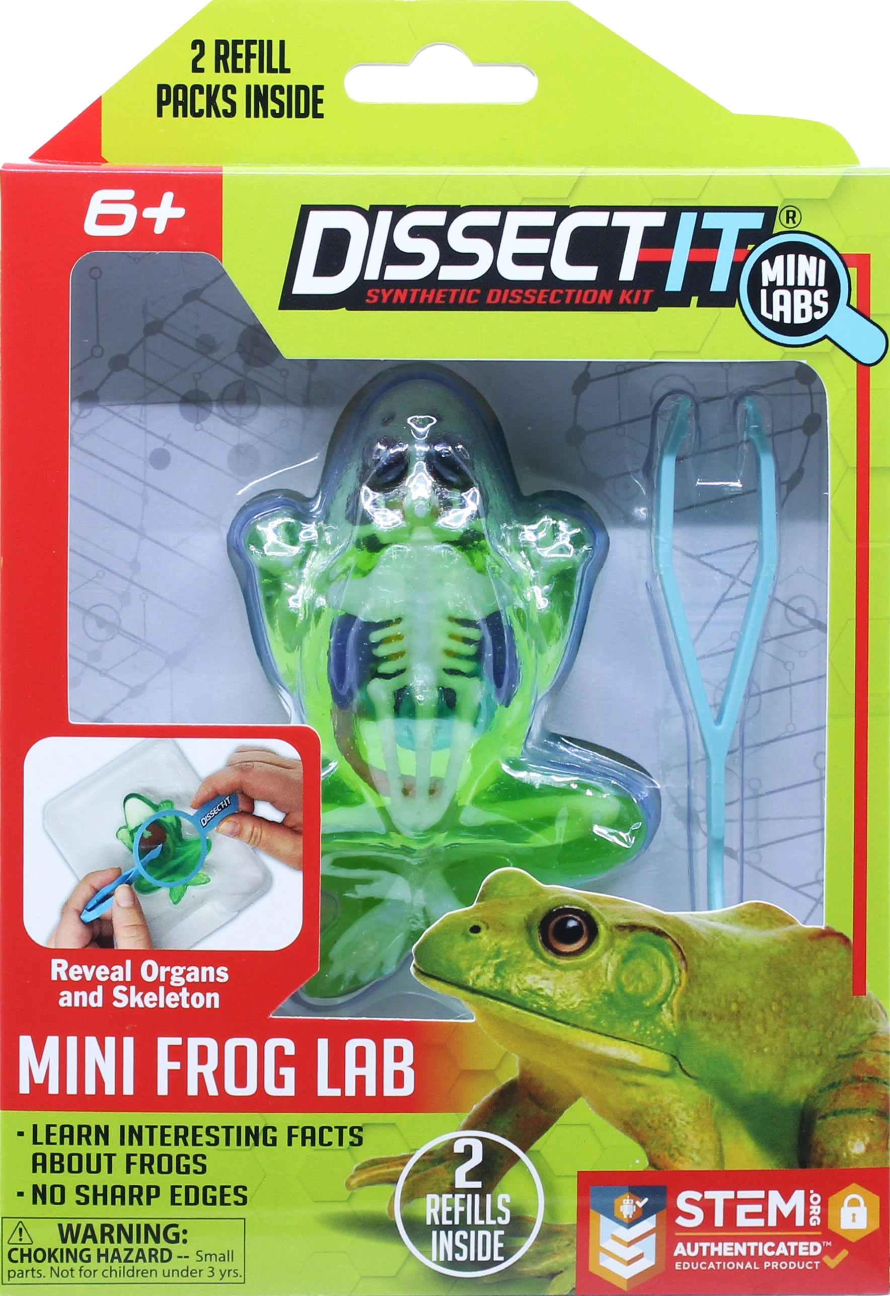 Sensory Compounds - Frog In Giftbox