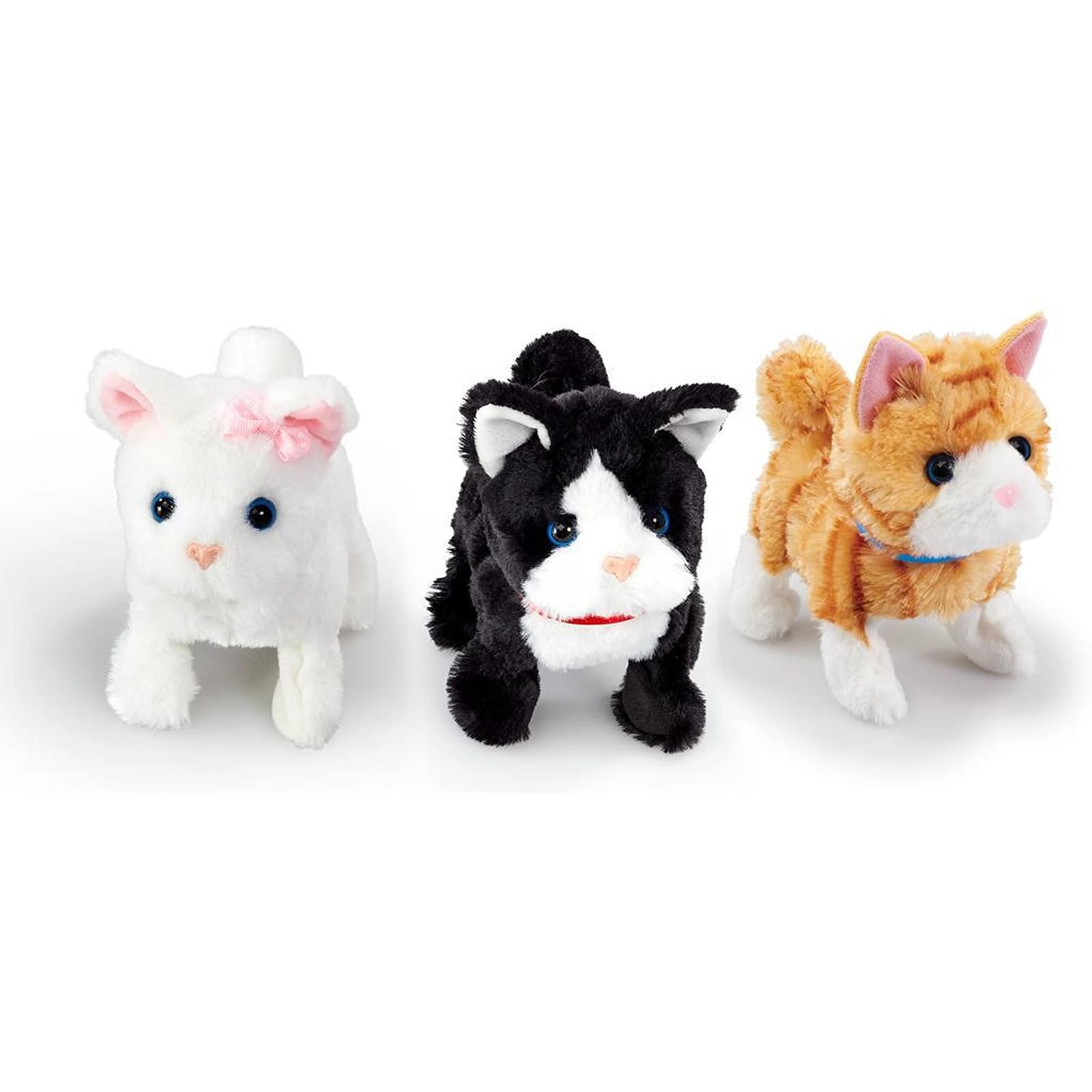 Happy Pets - Pretty Little Kitty