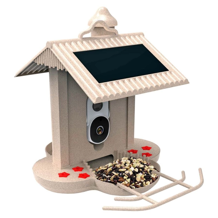 HiBird - Smart Bird Feeder with