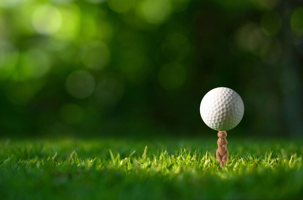 Kikkerland - Gopher Golf Tee S/6
