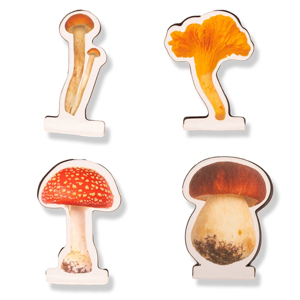 Kikkerland - Mushroom Magnetic Bookmarks -