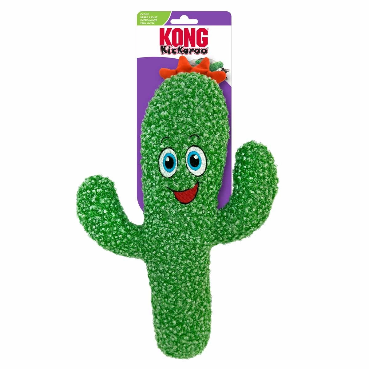 Kong - KONG KICKEROO CACTUS -