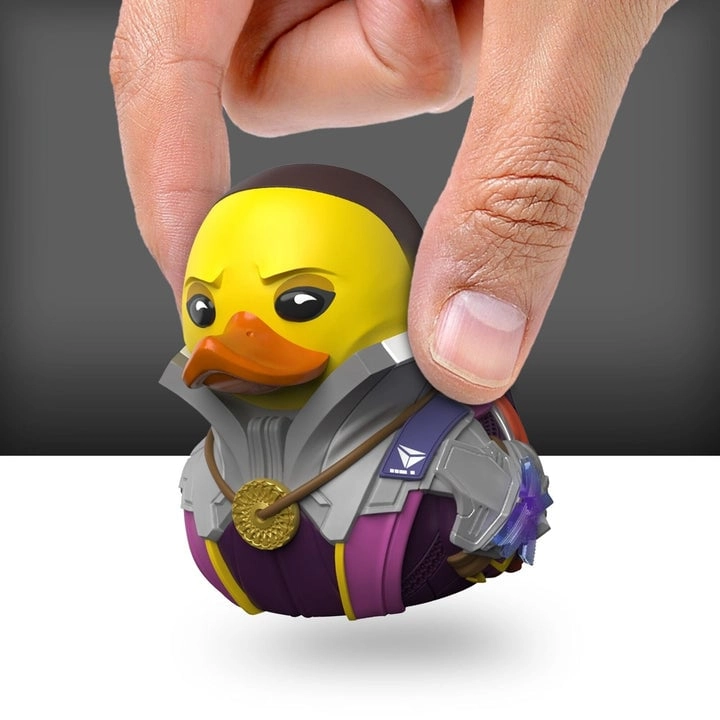 Numskull Destiny Tubbz Mini Action (