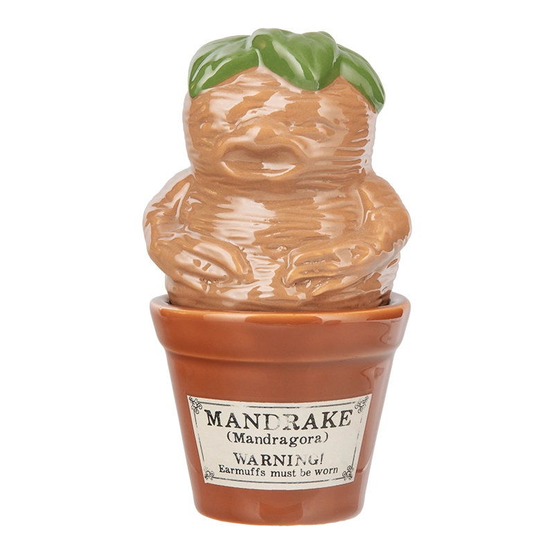 Harry Potter - Mandrake and Plant