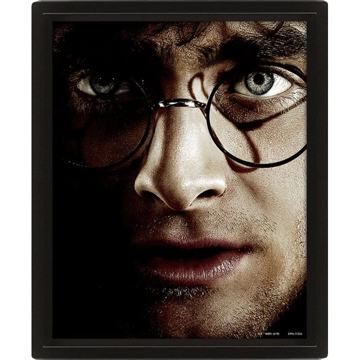 Harry Potter vs Voldemort 20x25 cm