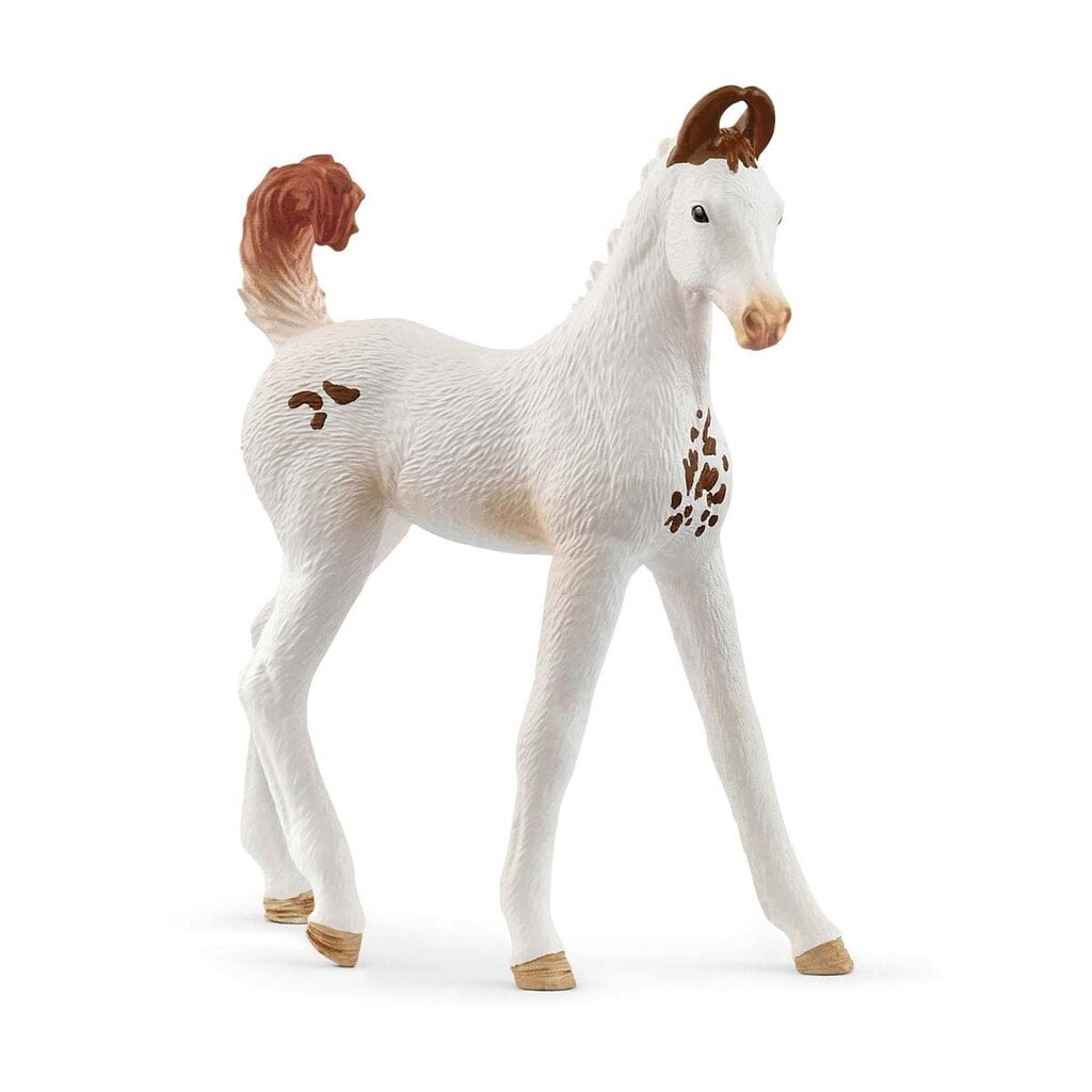 Schleich HORSE CLUB Marwari Foal  5