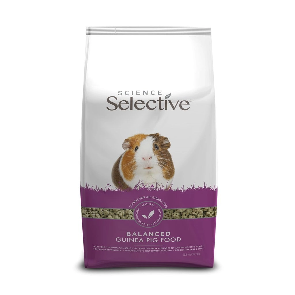 Science Selective - Guinea Pig -