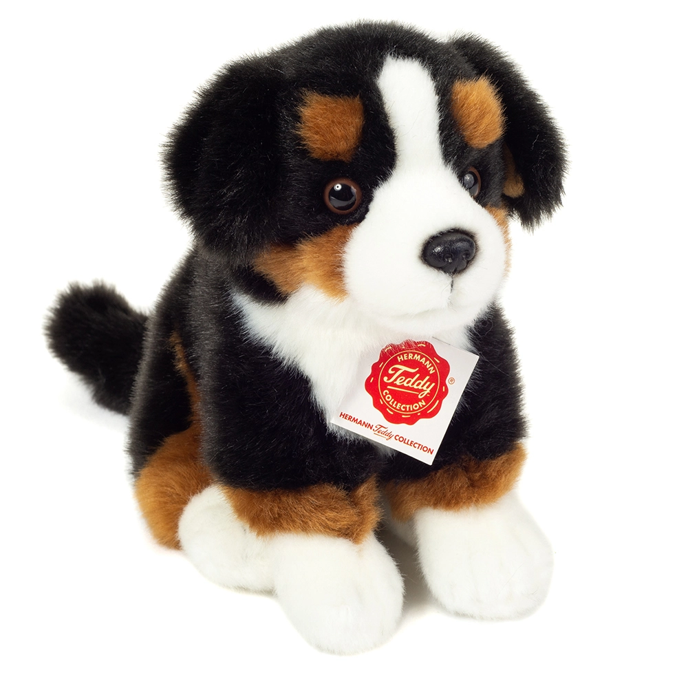 Teddy Hermann - Sitting Bernese Mountain