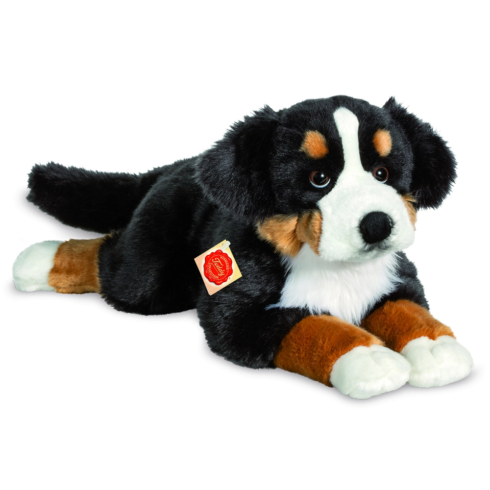 Teddy Hermann - Lying Bernese Mountain