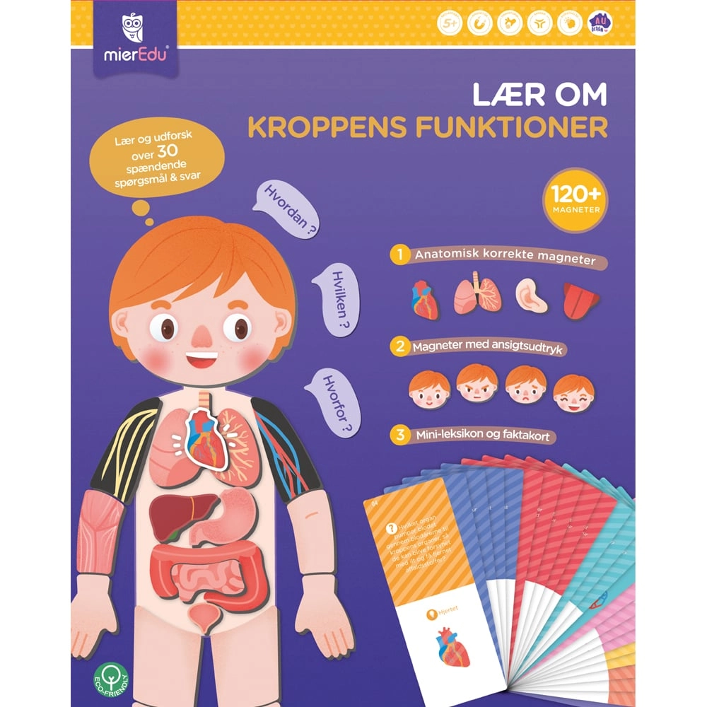 MierEdu - Magnetic Learning Box -