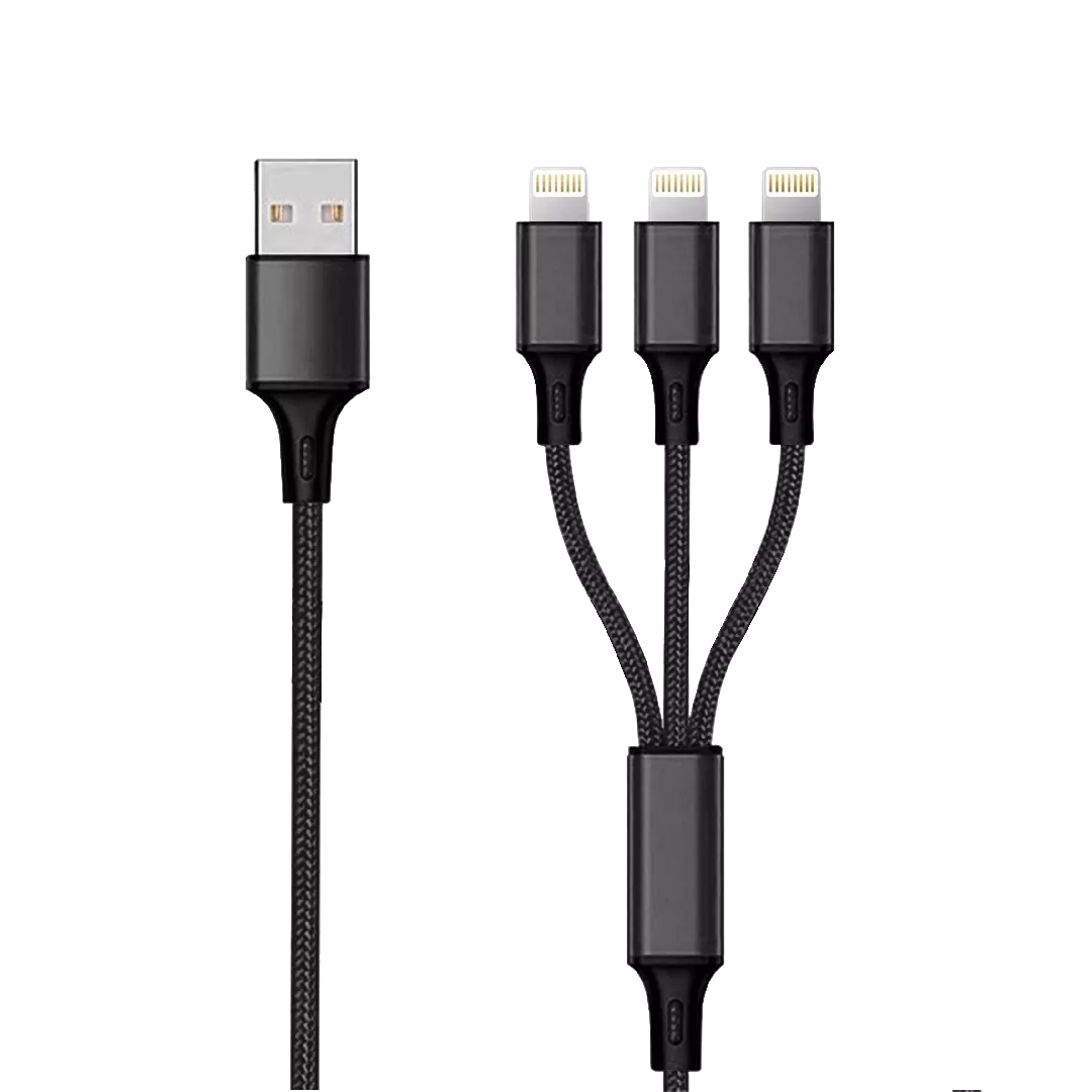 2GO 797155 lightning cable 1.5