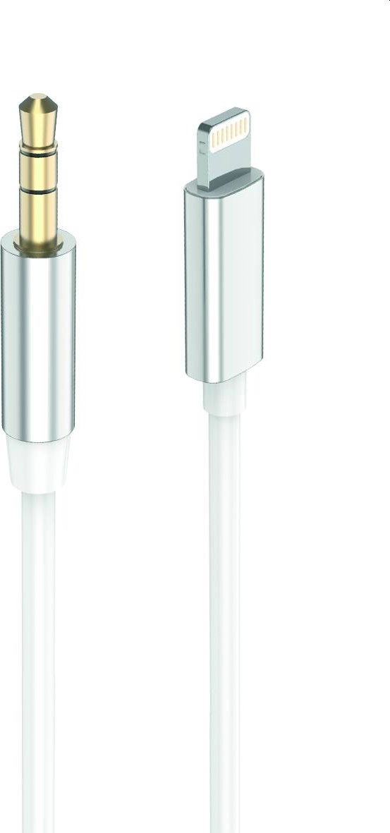 2GO AUX/MP3 audio cable for Lightning