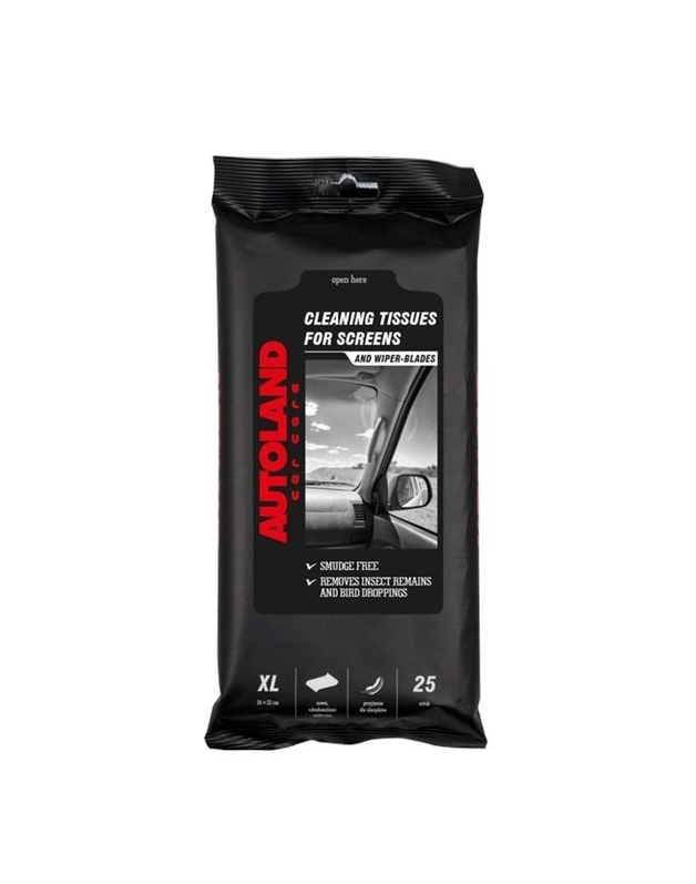 DAMP CAR WINDOWS WIPES 117100199 5900304004412