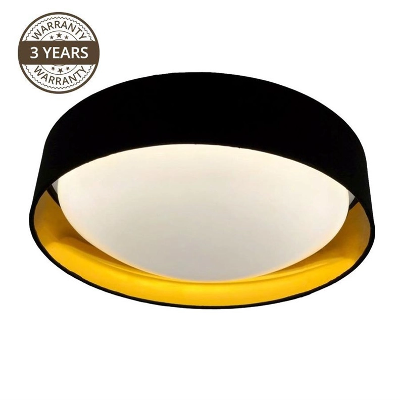 CEILING LAMP LARGE 19131L 24W D42