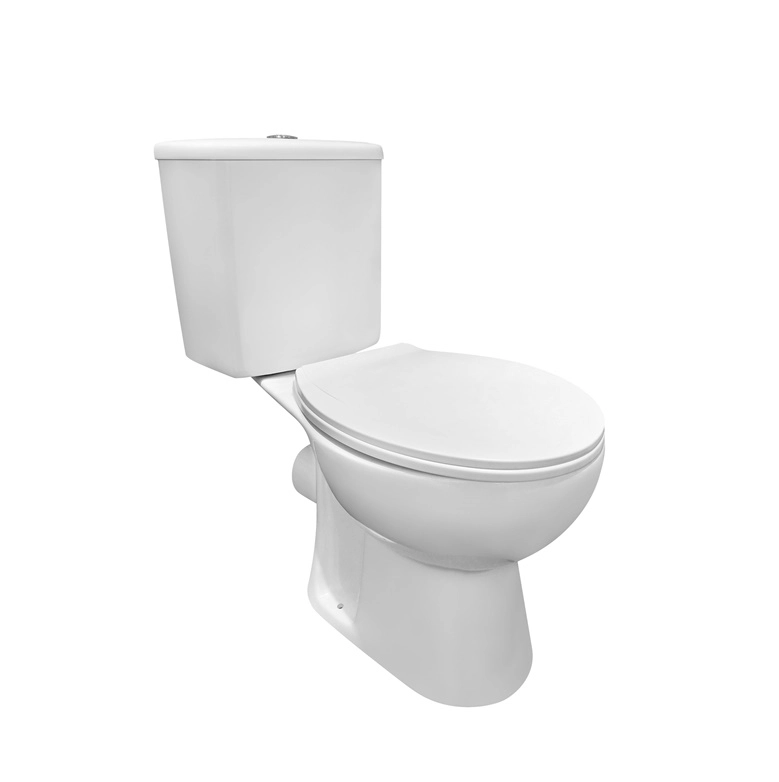 STAND WC RIMLESS PO221-P ( 14967088