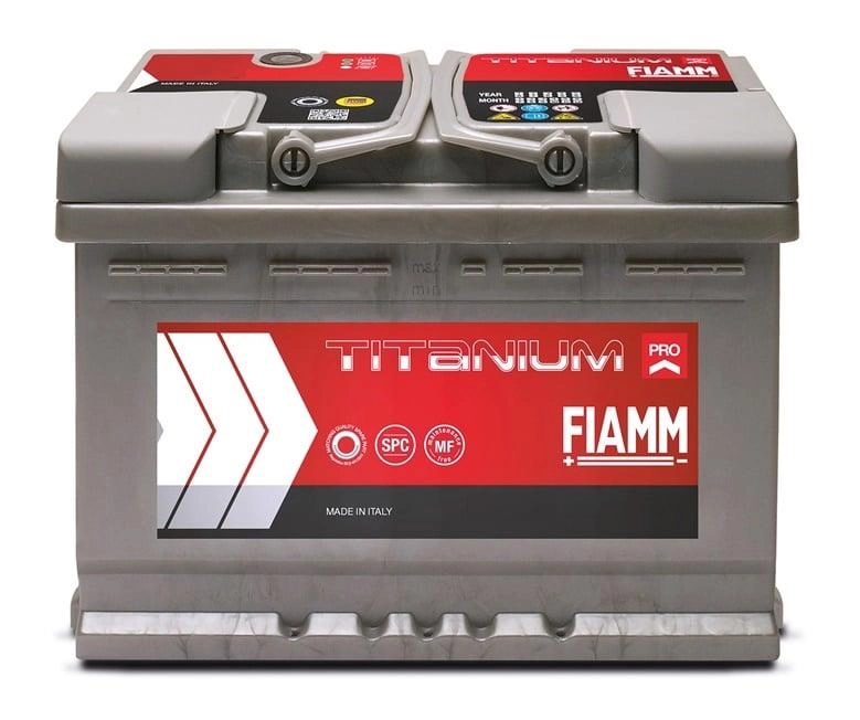 Titanium Pro 12V 75Ah 730A (