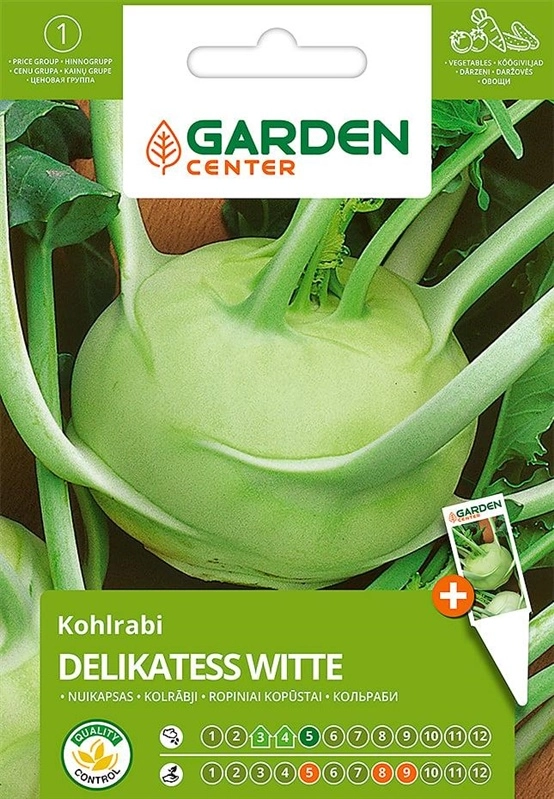 CABBAGE SEEDS KOHLRABI DELICACY WITTE 4772013092797