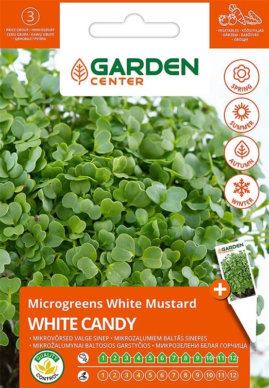 MUSTARD WHITE CANDY 10G ( 4772013399643