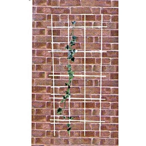 SUPPORT CLIMB PLANTS 4261 45X150 MET(24)