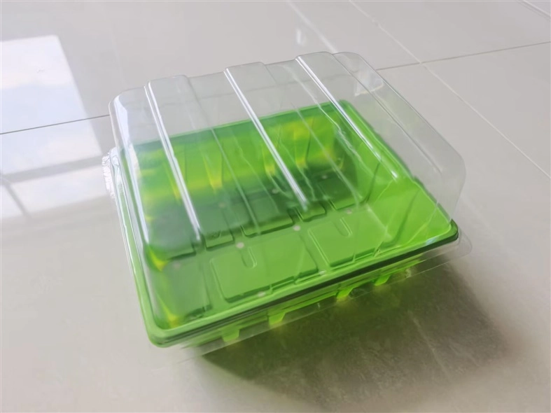 SPROUTING GREENHOUSE 23.5X19X11.5CM GR