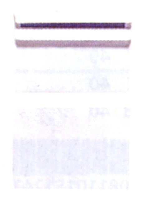 Herlitz 768614 envelope C6 (114 x