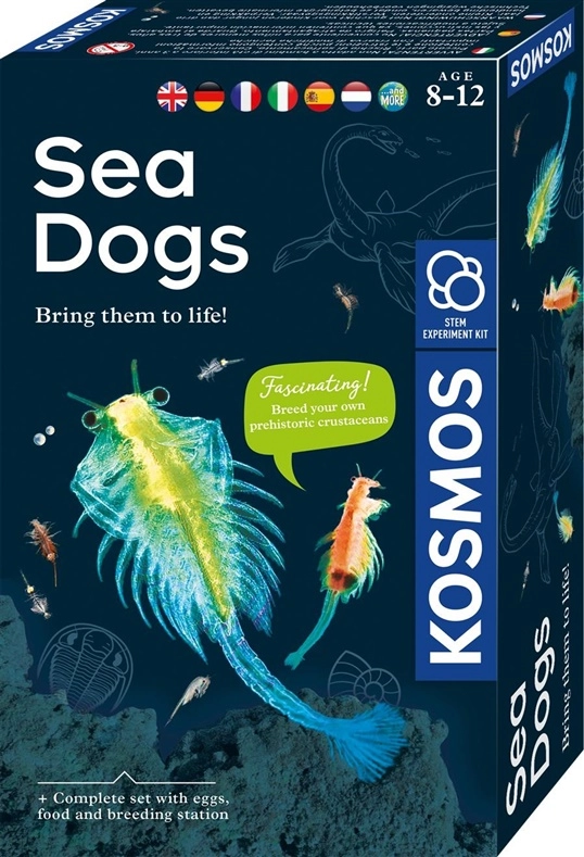 TOY EDUCATIONAL SET SEA DOGS 15247149