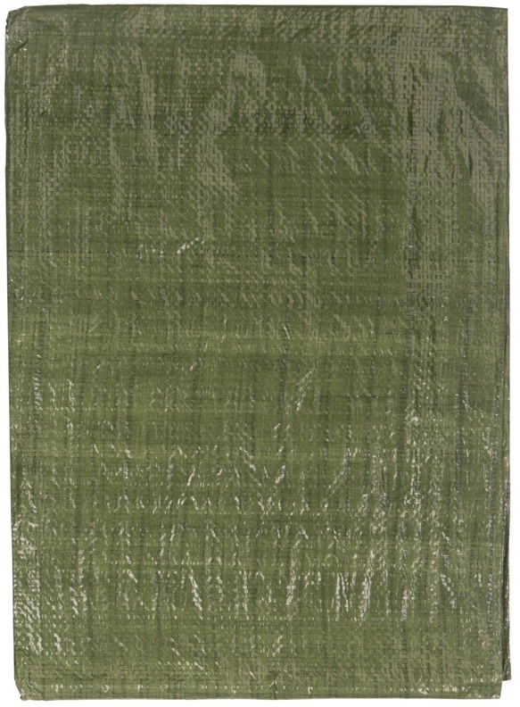 TARPAULIN GREEN 2X3M 65GSM (50) 15356534