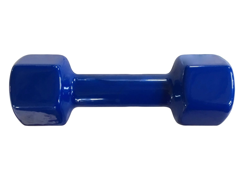 VINYL DUMBBELL LS2001 3KG IR92005F-3KG 4772013375593